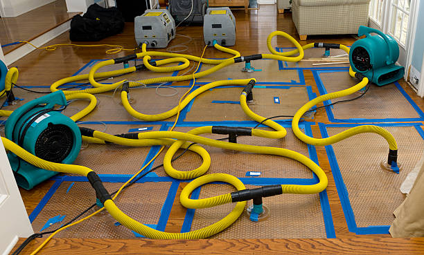 Professional Structural Drying And Dehumidification technician working in Rogers, TX